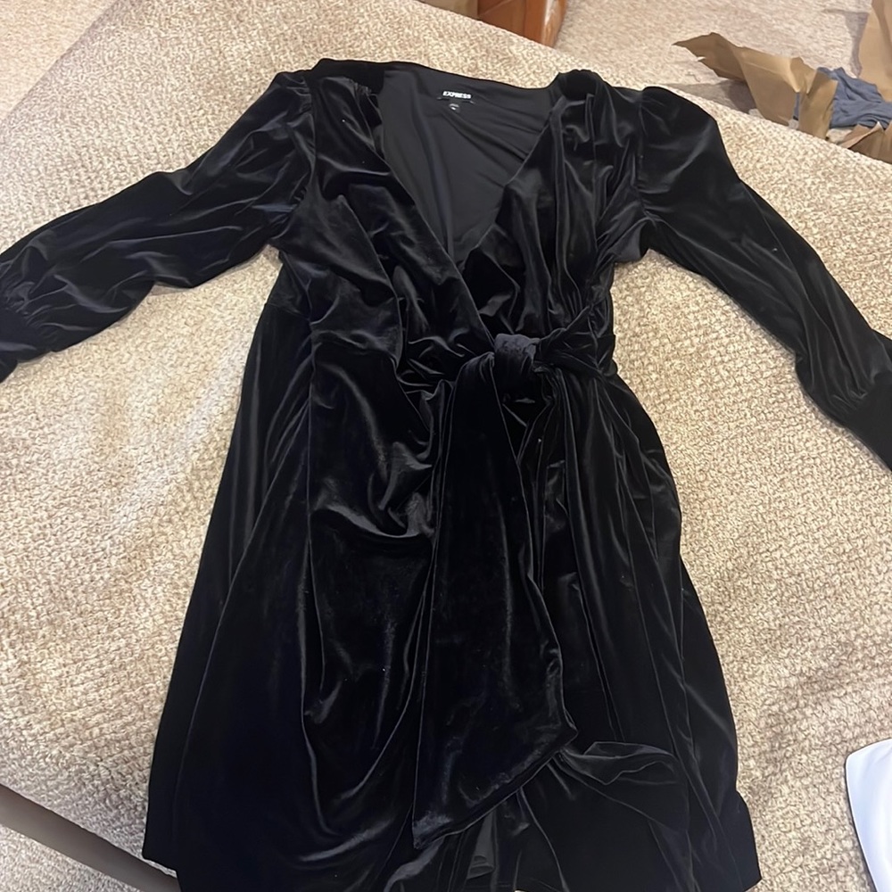 Express velvet dress